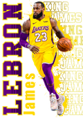 Basketball DTF transfer design