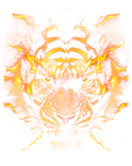 DTF transfer design