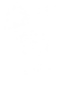 DTF transfer design