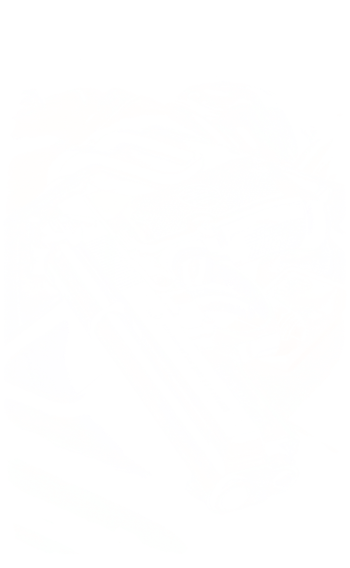 DTF transfer design