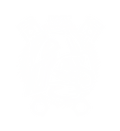 DTF transfer design