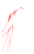 DTF transfer design