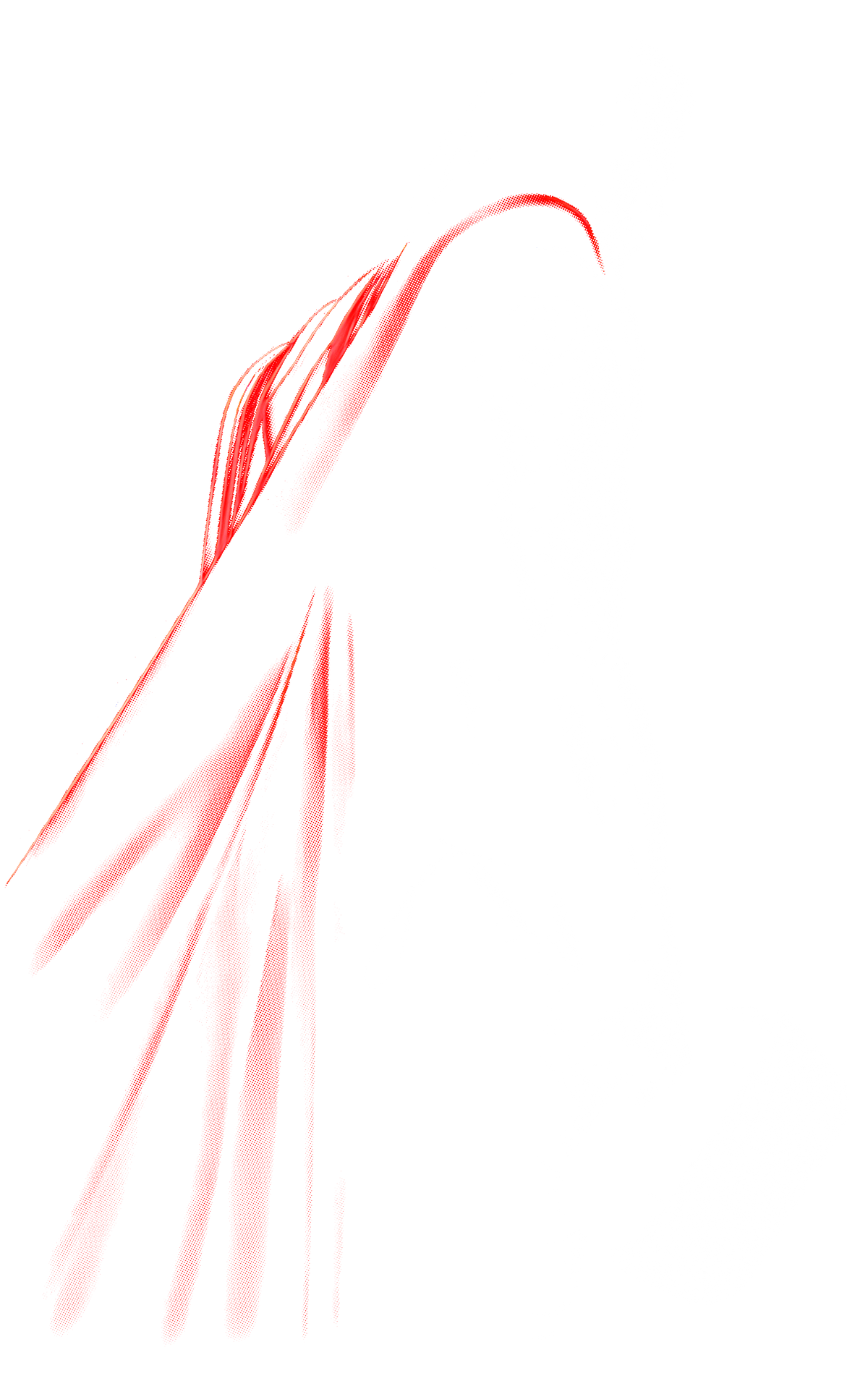DTF transfer design