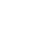 DTF transfer design